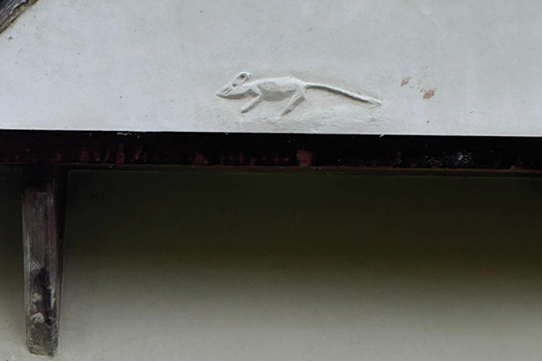 Image 13